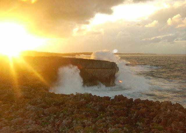 Folly Guest House Cottage Governor S Harbour Exterior foto